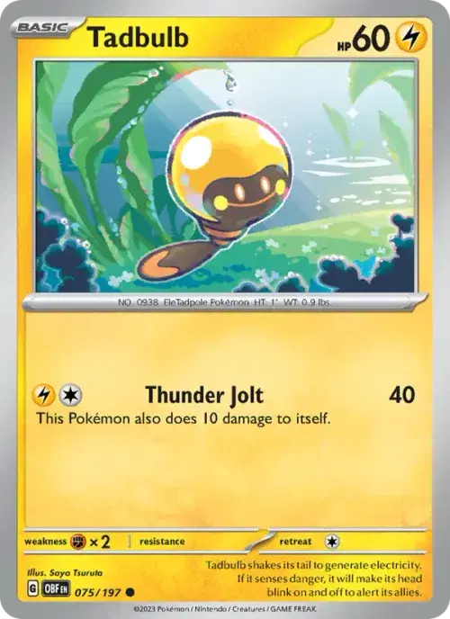 Tadbulb