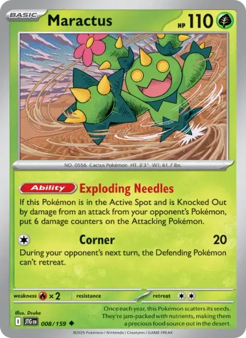 Maractus