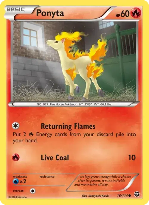 Ponyta