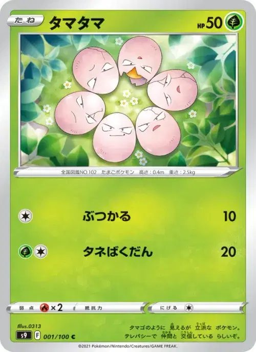 タマタマ