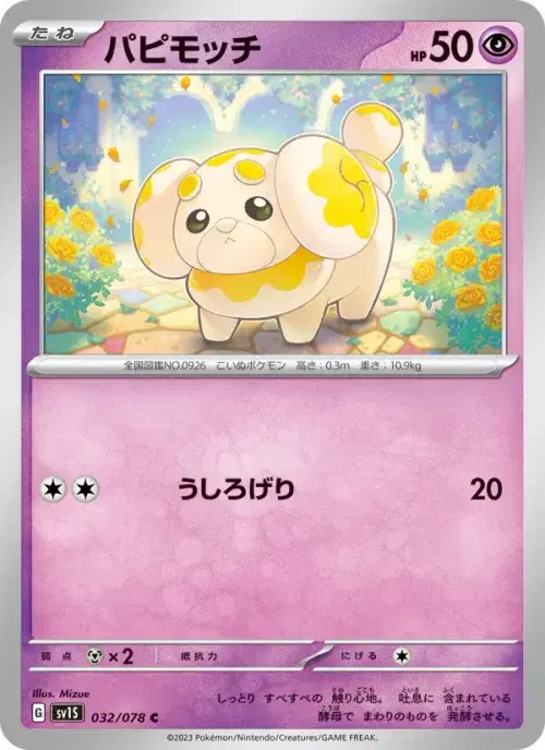 パピモッチ