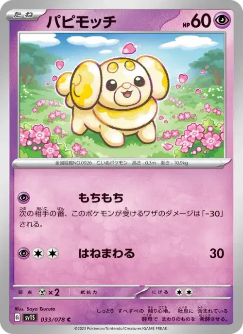 パピモッチ
