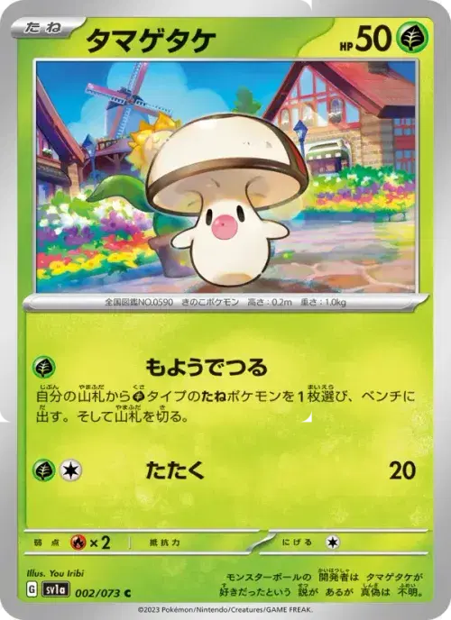 タマゲタケ