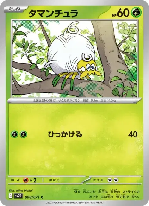 タマンチュラ