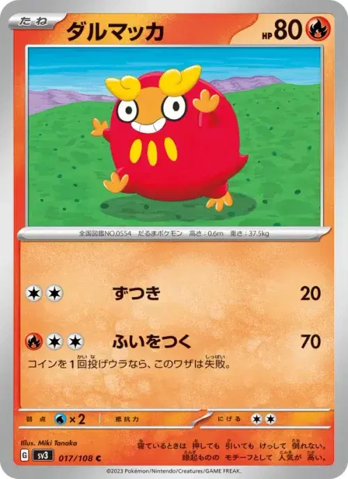 ダルマッカ