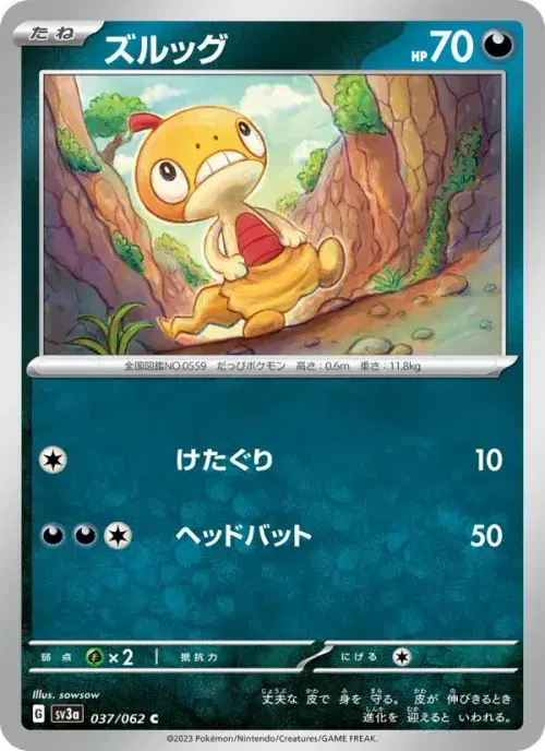 ズルッグ
