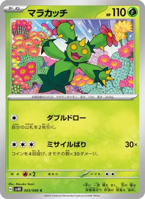 マラカッチ