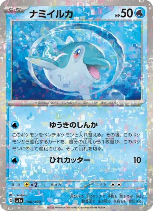 ナミイルカ