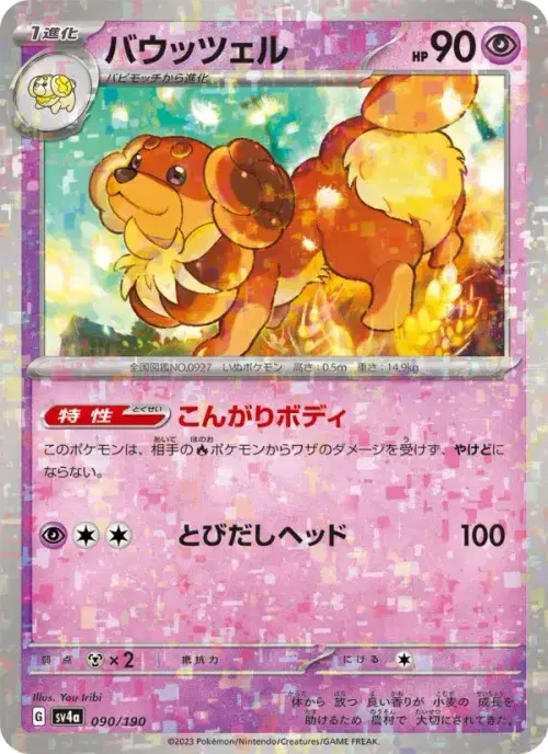 バウッツェル