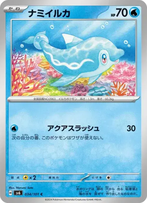 ナミイルカ