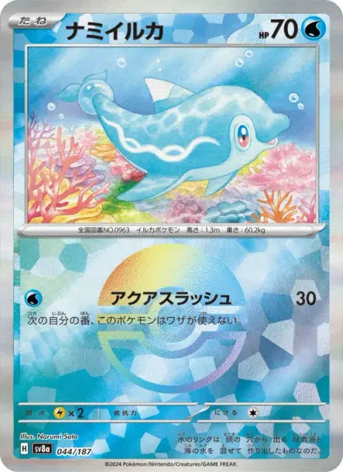 ナミイルカ