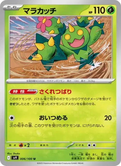 マラカッチ