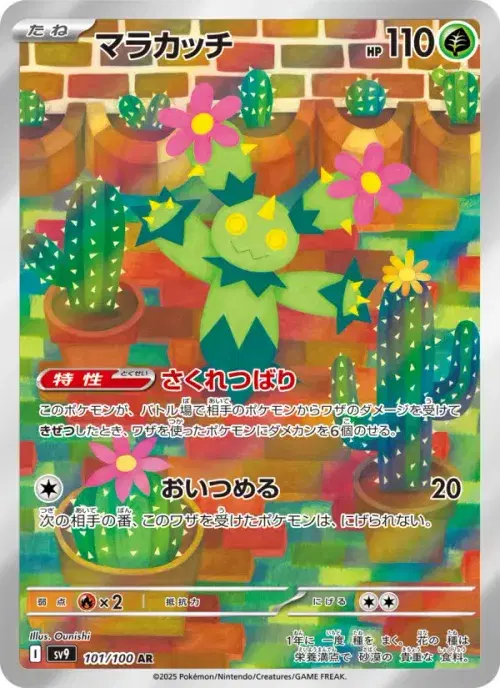 マラカッチ