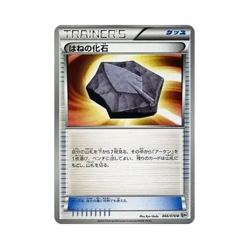 はねの化石