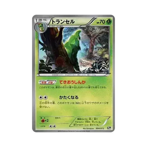 단데기