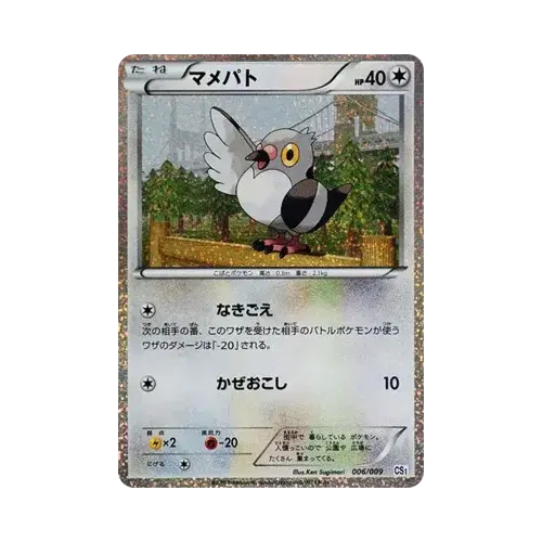 콩둘기