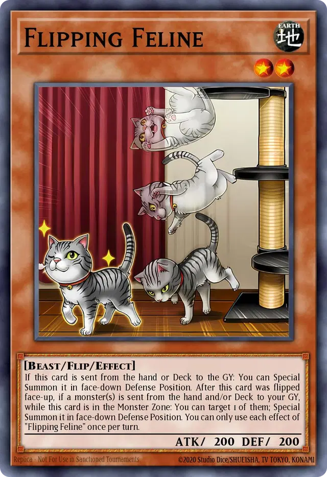 Flipping Feline