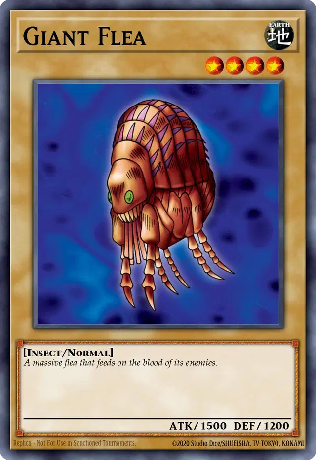 Giant Flea