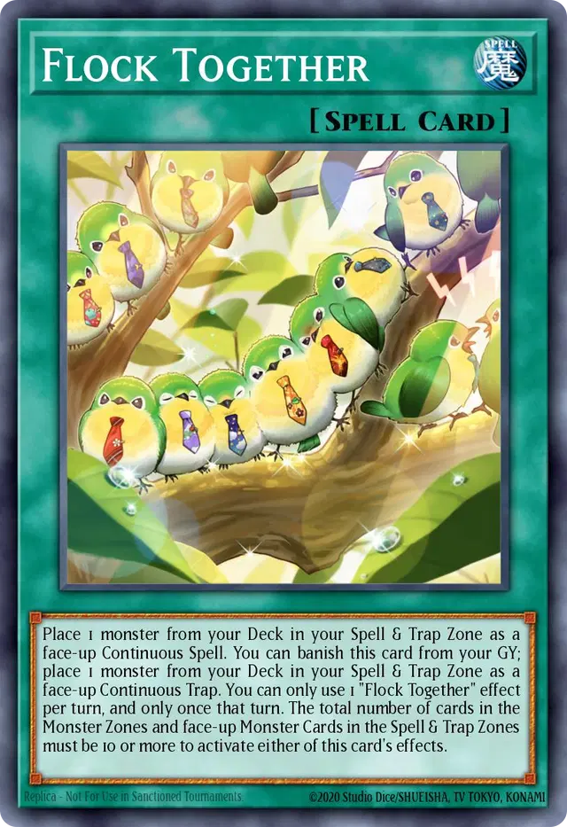 Flock Together