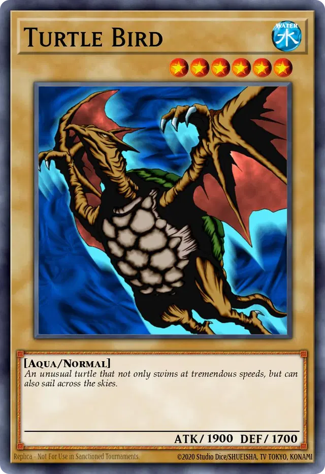 Turtle Bird