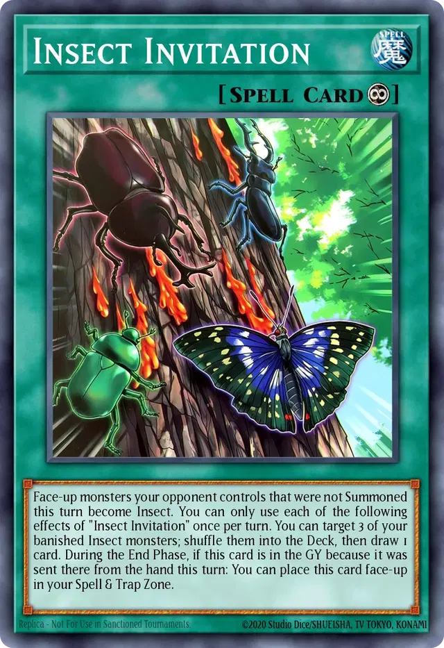 Insect Invitation